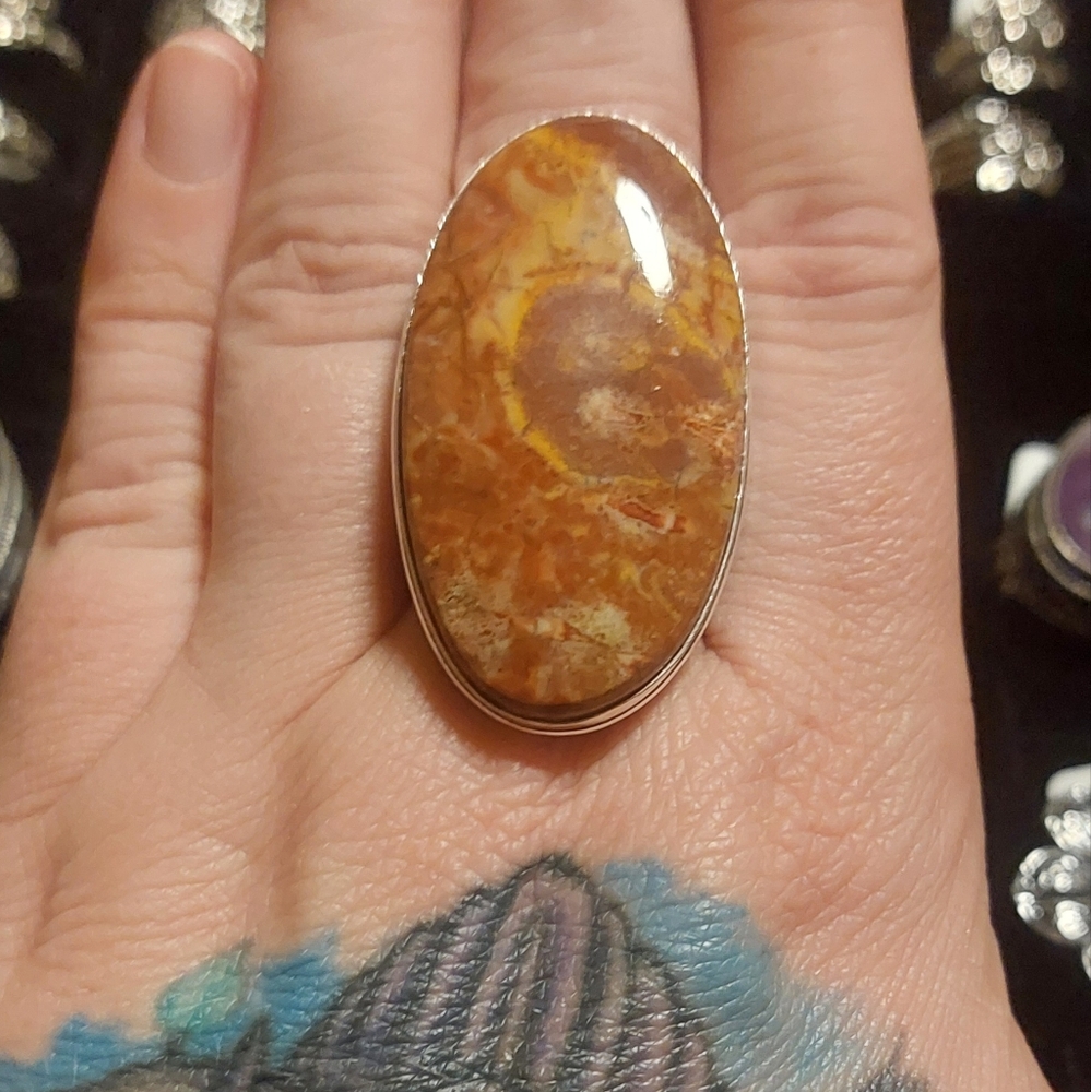 Enormous Bird's Eye Jasper Ring - Picture 2 of 7